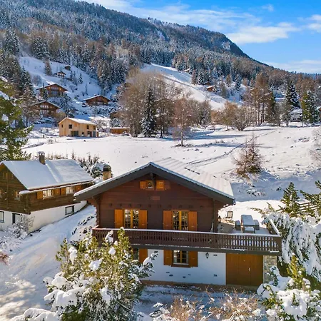 Chalet Gisele - 8 Pers - Pres Des Pistes