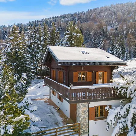 Gisele - 8 Pers - Pres Des Pistes Σαλέ *