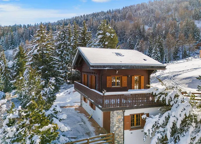 Gisele - 8 Pers - Pres Des Pistes شاليه *